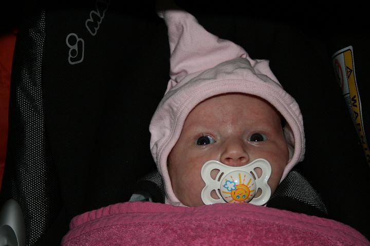 04_najaar 2007 2 030.jpg